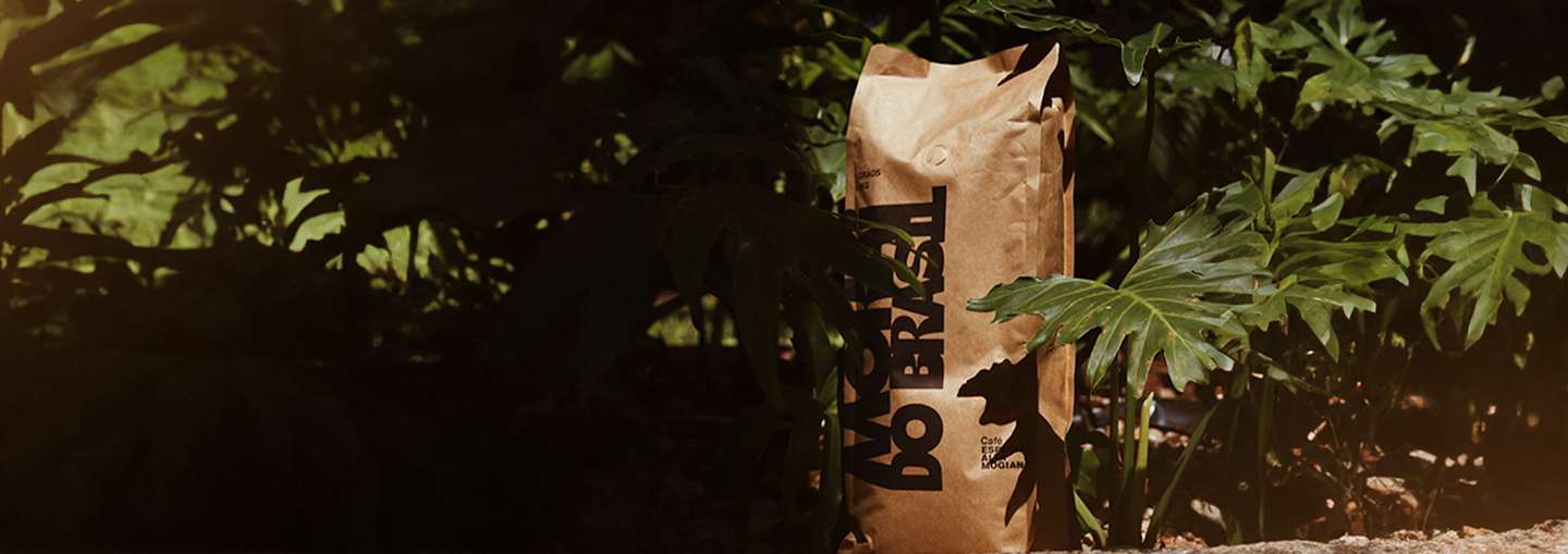 Plantacao e processo do cafe Mokai